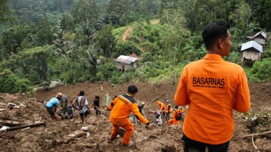Photo of Indonesia: At least 18 dead in Sulawesi island landslides