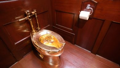 Photo of Man pleads guilty to stealing $6 million gold toilet