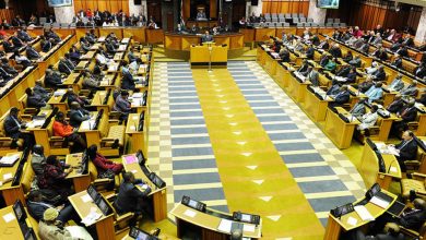 Photo of South African lawmaker suspended over racist remarks