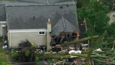 Photo of Two-year-old killed in Michigan tornado after tree falls on home