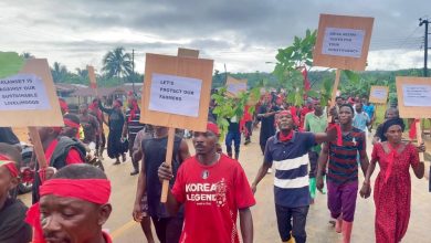 Photo of Ellembelle: Concerned cocoa farmers protest against “galamsey” activities destroying their farms