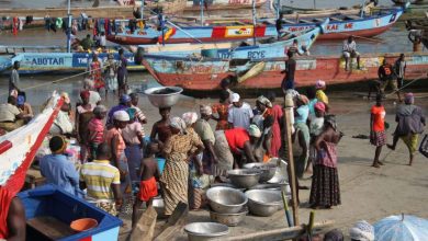 Photo of Fisheries Enforcement Unit enforces closed fishing Season