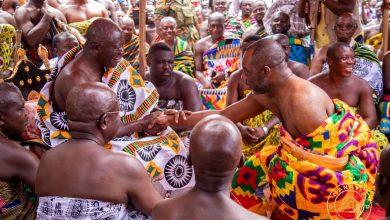 Photo of “Don’t let Dr. Bawumia regret selecting you, be a good servant to him” -Asantehene to Napo