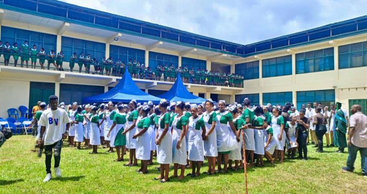 GMA has proposed the abolition of certificate and diploma nursing programs in favor of elevating all nursing education to the degree level.