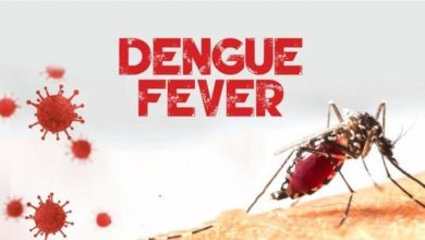 Photo of EKMA Health Director Urges Public Vigilance as Dengue Fever Spreads