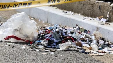 Photo of North Korean trash balloons disrupt flights In South Korea