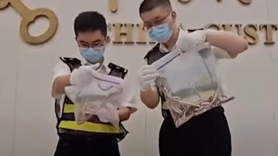 Photo of Man caught smuggling over 100 live snakes in his trousers at China border