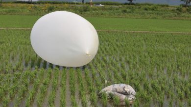 Photo of N Korea’s balloons carrying rubbish land in S Korea’s Presidential compound