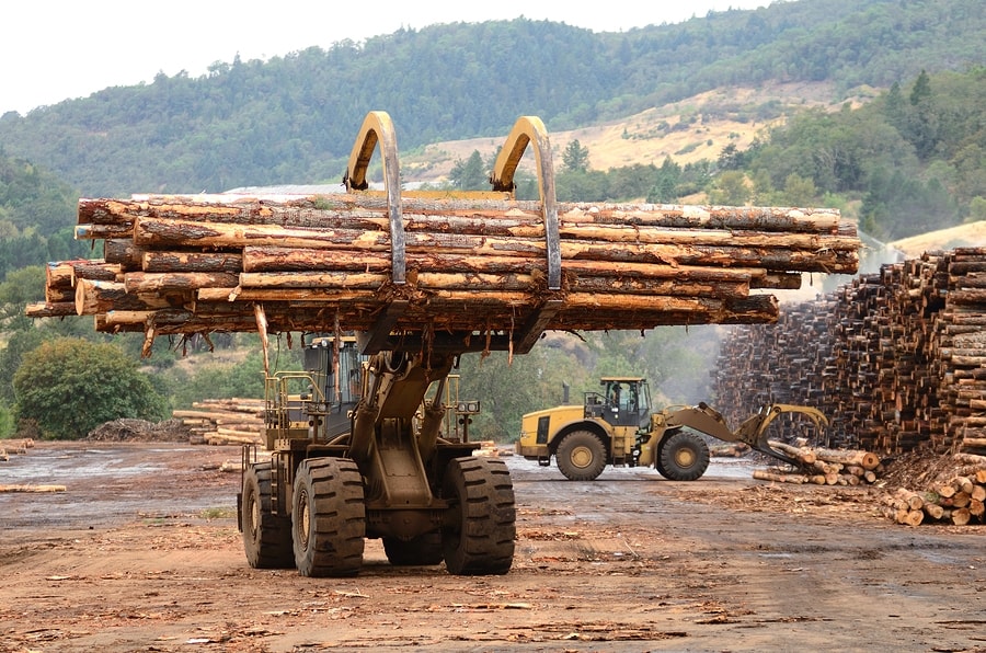 Ghana's timber industry is at risk of spending millions on timber imports as 75 out of 100 local timber manufacturing companies have shut...