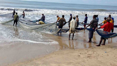 Photo of Fisherfolks at Sekondi Harbour Report Poor Catches Despite End of Fishing Ban; Call for Seasonal Adjustment to Boost Stock Recovery