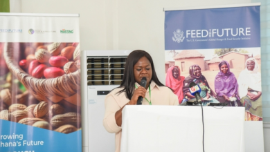 Photo of Dr. Betty Annan Urges Greater Stakeholder Engagement and Youth Involvement to Transform Ghana’s Agricultural Sector