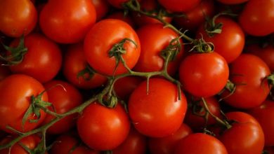 Photo of Tomato prices plummet at Agbogbloshie market after prolonged Surge