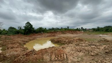 Photo of Northern Ashanti mines demands urgent security measures after repeated armed attacks by illegal miners