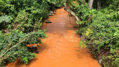 Photo of Galamsey making water treatment expensive for pharmaceutical companies – Pharmaceutical Companies