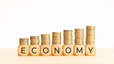 Photo of Economist Raises Concern Over Economic Challenges