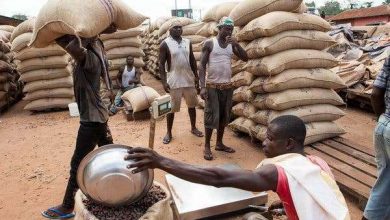 Photo of Cocoa Carriers Association declares indefinite strike over service conditions