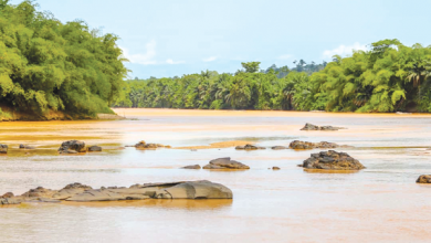 Photo of Water bodies polluted by ‘galamsey’ could take 15 years to recover – Dr. Bright Boamah