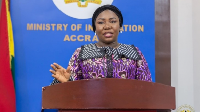 Photo of Government unveils action plan to combat illegal mining