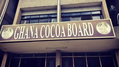 Photo of COCOBOD introduces hand pollination program for quality cocoa