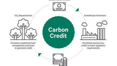 Photo of Over 100 countries reach historic agreement on UN-backed global carbon market