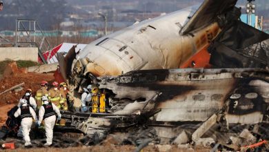 Photo of Plane crash in South Korea kills 179, two survivors rescued