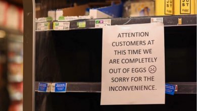 Photo of Avian flu sparks severe egg shortages in U.S. markets