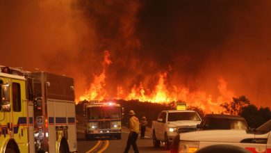 Photo of Devastating Los Angeles wildfires leave 10 dead as blazes rage uncontained