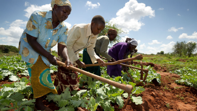 Photo of Dr. George Domfe calls for agricultural transformation to boost Ghana’s economic growth