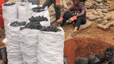 Photo of Ghana’s charcoal industry: A key player in energy and trade