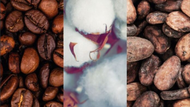 Photo of US$155m financing for coffee, cocoa and cotton sourcing