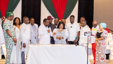 Photo of Appoint Diaspora Members Into Your Government: An Appeal To President John Dramani Mahama